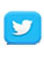 twitter social media icon